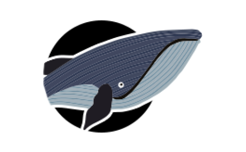 Whale