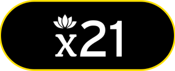 x21
